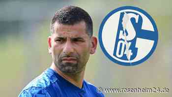 Schalke 04 winkt Millionen-Ersparnis: Ex-Trainer Grammozis umworben