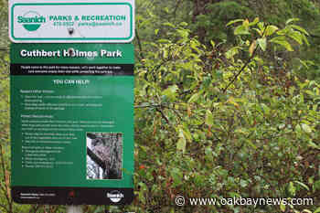 Saanich parks featured for a first time in Canadian City Parks report - Oak Bay News