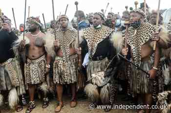 Who should be king of the Zulus?
