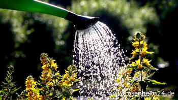 Schwung aus Tittmonings Bewerbung soll weiter genutzt werden