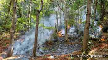 Trieste, due incendi nel bosco del Farneto - Il Piccolo