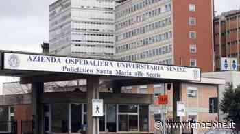 Siena, sanità in lutto: è morto il neonatologo Franco Bagnoli - LA NAZIONE