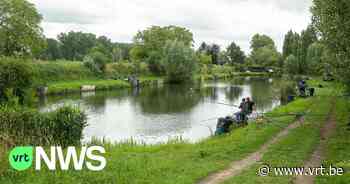 Zele lanceert digitale bomenteller: "Een website waar inwoners kunnen zien hoeveel bomen de gemeente telt" - Vlaamse Radio- en Televisieomroeporganisatie