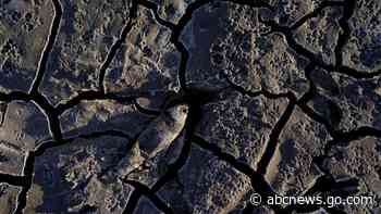 How new Colorado River cuts will impact states, residents