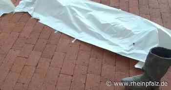 Schaffen und zerstören - Kaiserslautern/Kirchheimbolanden - DIE RHEINPFALZ - Rheinpfalz.de