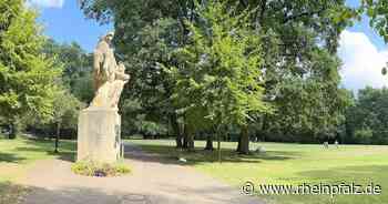 Feuerwehreinsatz im Volkspark - Kaiserslautern - DIE RHEINPFALZ - Rheinpfalz.de