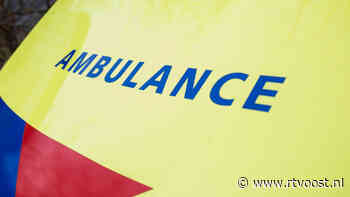 Dierenarts uit Enter tegen hoofd getrapt door paard - RTV Oost