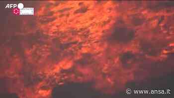 Spagna, Vigili del fuoco all'opera contro le fiamme nella provincia di Alicante - Mondo - Agenzia ANSA