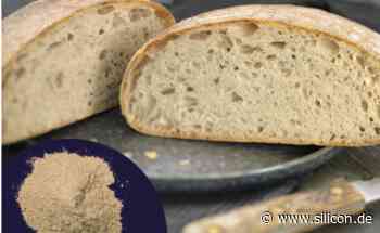 Zeelandia nutzt KI für Vertrieb und Preisgestaltung - silicon.de