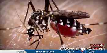 West Nile Virus detected in mosquitos in Dawson County - KNOP