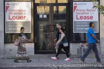 Proportion of French speakers declines nearly everywhere in Canada, including Quebec - Dawson Creek Mirror