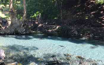 Laguna de Nogales: descubre esta joya natural en Veracruz - México Ruta Mágica