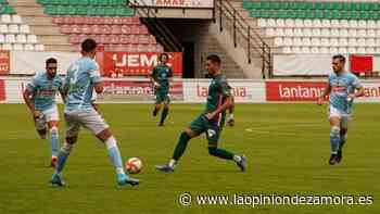 Zamora CF - CD Coria: Otra victoria para seguir creciendo - La Opinión de Zamora