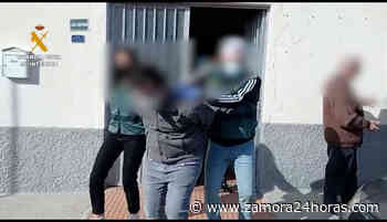 Detenidas nueve personas involucradas en el robo de una vivienda en Zamora - Zamora24horas.com