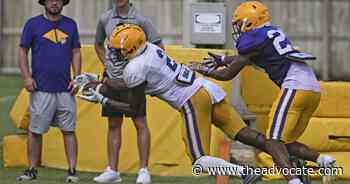 Scott Rabalais: Assessing LSU's position groups near the halfway point of preseason camp - The Advocate