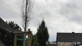 Kettiger Bäume leiden unter Trockenheit: Bürgermeister sucht Baumpaten - Rhein-Zeitung