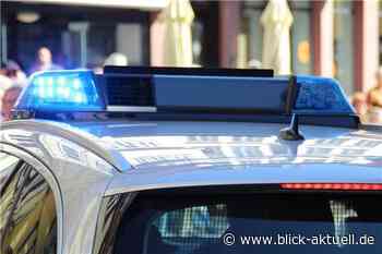 Koblenz: Nachbarschaftsstreitigkeiten beschäftigen die Polizei - Blick aktuell