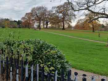 19-year-old fighting for his life after assault in Edgware - Harrow Online