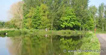 Gorgeous Exeter valley park is getting a facelift - Devon Live