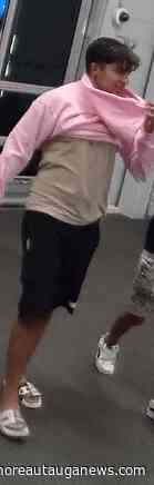 Millbrook Police Seek Felony Theft Suspect; Reward Offered for help with Identification - Elmore Autauga News