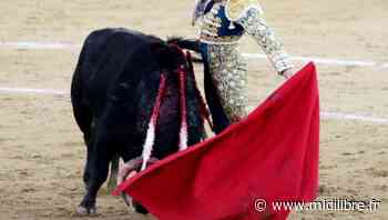 Le summum de Daniel Luque et des déceptions à Dax - Midi Libre