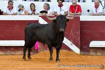 Galerie photos : Dax, toros de Miura et Margé, dimanche 14 août 2022 | - Vuelta A Los Toros