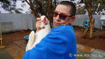 Helene's not afraid to ruffle feathers in her fight against another FIFO camp in her town