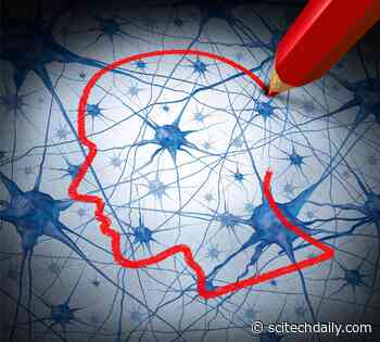 Patients With Aphasia Use Different Cognitive Tools To Compensate for Language Deficits