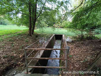 Merate: le piogge portano un po' di ristoro al laghetto di san Rocco. Situazione ancora critica a Sartirana - Merate Online