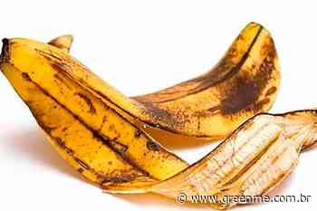 O que acontece se você comer casca de banana? - greenme.com.br