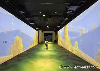 How Local Arts Institutions Are Incorporating Video, Sound And Immersive Experience Into Rotating Exhibits - Louisville Eccentric Observer (LEO Weekly)