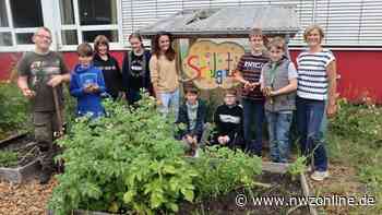 Schulgarten KGS Rastede: Unterricht im Grünen - NWZonline