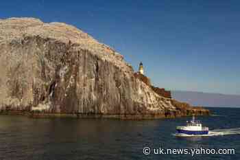 Vicky Allan: Will we finally protect our wrecked seabeds in the name of blue carbon? - Yahoo News UK