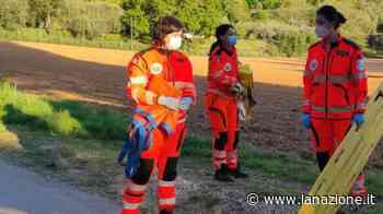 Pisa, scontro frontale tra due auto: 3 feriti tra i quali una bambina di 10 anni - LA NAZIONE