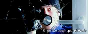 Einbrecher im Landkreis unterwegs - Cochem / Zell - WochenSpiegel