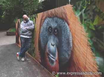 Dudley Zoo shining a light on conservation message with new graffiti wall - Express & Star