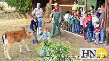 In den Ferien nix los? Im Landkreis Helmstedt schon! - Helmstedter Nachrichten