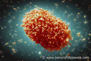 Monkeypox upgraded by WHO to public health emergency of international concern - Bancroft This Week