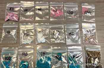 Ten charged after drugs, stolen property seized in Bancroft - Quinte News