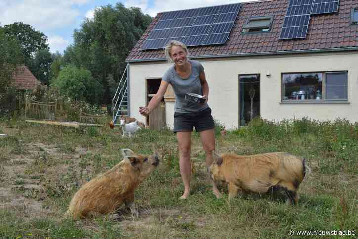 Huis van de Sterren stelt werking voor: “Wij vullen een gat in de zorg voor kwetsbare jongvolwassenen”