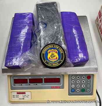 Polícia Federal apreende em Natal 10 kg de maconha enviados pelos Correios - 16/08/2022 - Notícia - Tribuna do Norte