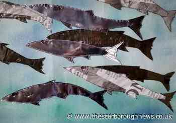 Whitby's Pannett Art Gallery to host One Small Step exhibition to help save the planet - The Scarborough News