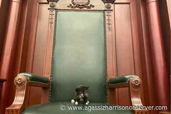 Chilliwack-Kent MLA makes case for Legislature cat - Agassiz Harrison Observer