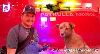 David Rodríguez rescata animales domésticos y salvajes en Hermosillo con ayuda de drones - Proyecto Puente