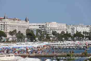 Âgé de 13 ans, il cambriole un hôtel de la Croisette
