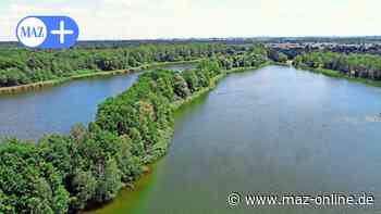 Falkensee: Ehemalige Lehrer treffen sich im Restaurant „Seeterrassen“ - Märkische Allgemeine Zeitung