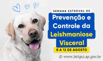 Semana de Prevenção e Controle de Leishmaniose Visceral termina sábado, em Birigui - Prefeitura de Birigui (.gov)