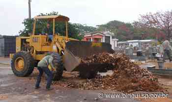 Cemitério da Consolação de Birigui recebe serviços de manutenção e limpeza para o Dia dos Pais - Prefeitura de Birigui (.gov)