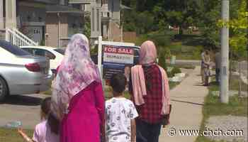 How Afghan refugees are settling into life in Hamilton 1 year after Taliban seizure - CHCH News