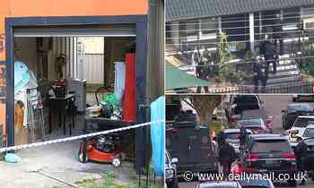 Massive police operation underway in Condell Park in Sydney's south-west - Daily Mail